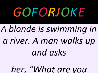 Funny Jokes